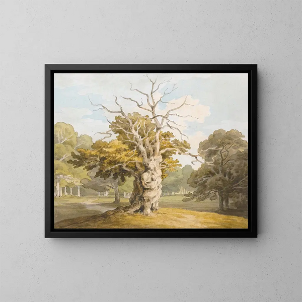 Un roble en Kedleston Hall, Derbyshire - John White Abbott — cuadro enmarcado en la pared