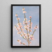 Flores de duraznero - John William Hill — cuadro enmarcado en la pared