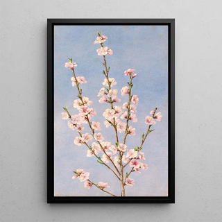 John William Hill - Peach Blossoms.webp