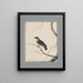 Dibujos originales a la acuarela de aves y huevos Pl16 - John William Lewin — cuadro enmarcado en la pared