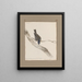 original watercolor drawings of birds and eggs Pl33 - John William Lewin — framed artwork on a wall