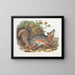 Gray Fox - John Woodhouse Audubon — framed artwork on a wall