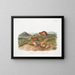 Lemming fauve Tamaño natural Lemming a tres cuernos Tamaño natural - John Woodhouse Audubon — cuadro enmarcado en la pared