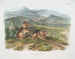 Liebre de Nuttall macho tamaño natural - John Woodhouse Audubon — vista de la obra