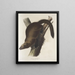 Mustela Canadensis Canadian Marten or Pekan, male, life size - John Woodhouse Audubon — framed artwork on a wall