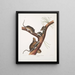 Neotoma Floridana Ratón de Florida Tamaño natural Macho hembra y jóvenes de diferentes edades - John Woodhouse Audubon — cuadro enmarcado en la pared