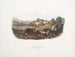 Mole musaraña americana común tamaño natural macho hembra - John Woodhouse Audubon — vista de la obra