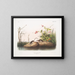Sorex palustris, musaraigne des marais americana, tamaño natural - John Woodhouse Audubon — cuadro enmarcado en la pared