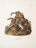 Tamias lysterii Ardilla de Chipping Impresión artística c Tamaño natural Macho Hembra y Joven Primer Otoño - John Woodhouse Audubon — vista de la obra