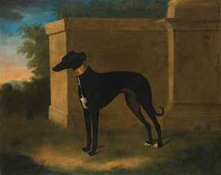 John Wootton - Portrait Of A Greyhound Called Pompon.webp