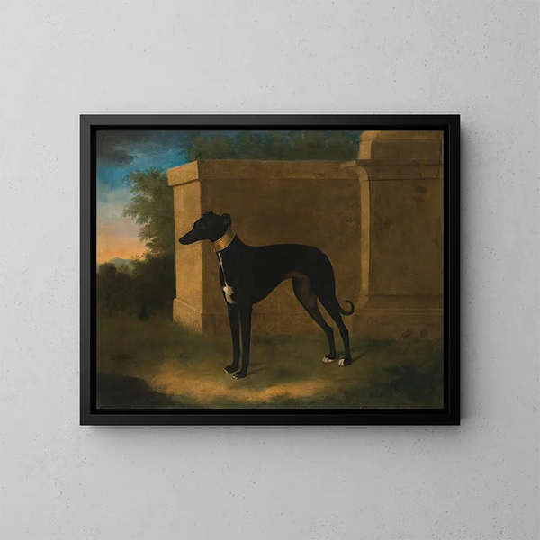 Retrato de un galgo llamado Pompon - John Wootton — cuadro enmarcado en la pared
