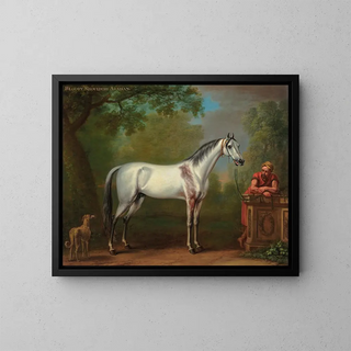 John Wootton - The Bloody Shoulderd Arabian.webp