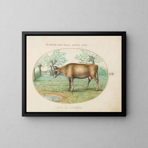 Una vaca - Joris Hoefnagel — cuadro enmarcado en la pared