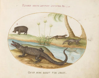 Joris Hoefnagel - A Crocodile a Hippopotomus a Land Crocodile or Tegu Lizard and a Crocodile or SpinyTailed Lizard with a Papyrus Plant.webp