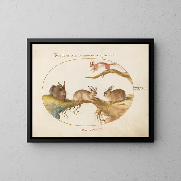 Un liebre, un jackalope, un conejo y una ardilla moteada - Joris Hoefnagel — cuadro enmarcado en la pared