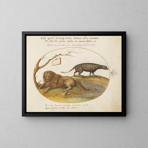 Un león y una civeta - Joris Hoefnagel — cuadro enmarcado en la pared