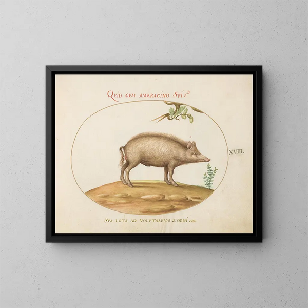 Un cerdo con bellotas - Joris Hoefnagel — cuadro enmarcado en la pared