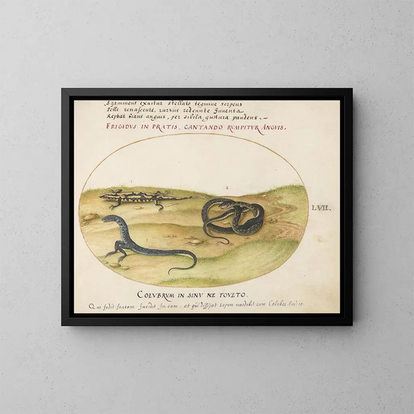 Un serpiente, una salamandra de fuego y una criatura en forma de serpiente con dos patas - Joris Hoefnagel — cuadro enmarcado en la pared