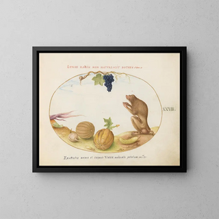 Joris Hoefnagel - A Tartarine Barbary Macaque with Fruit and a Snail.webp