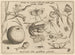 Arquetipos y estudios del padre Georgius Hoefnagel - Joris Hoefnagel — vista de la obra