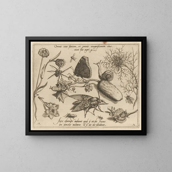 Archetypes and studies of Father Georgius Hoefnagel Pl15 - Joris Hoefnagel — framed artwork on a wall