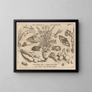 Joris Hoefnagel - Archetypa studiaque patris Georgii Hoefnagelii Pl21.webp
