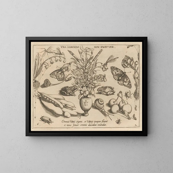 Archétypes et études du père Georgius Hoefnagel - Joris Hoefnagel — framed artwork on a wall