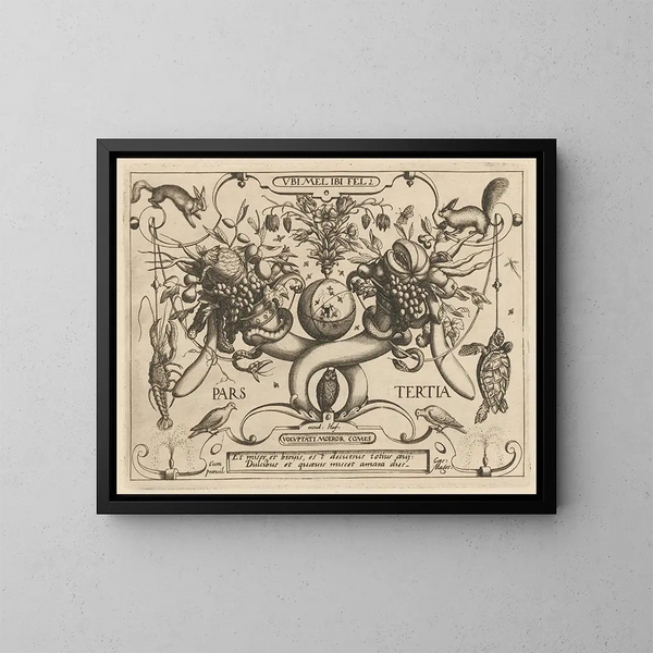Archetypes and studies of Father Georgius Hoefnagel, Pl. 26 - Joris Hoefnagel — framed artwork on a wall