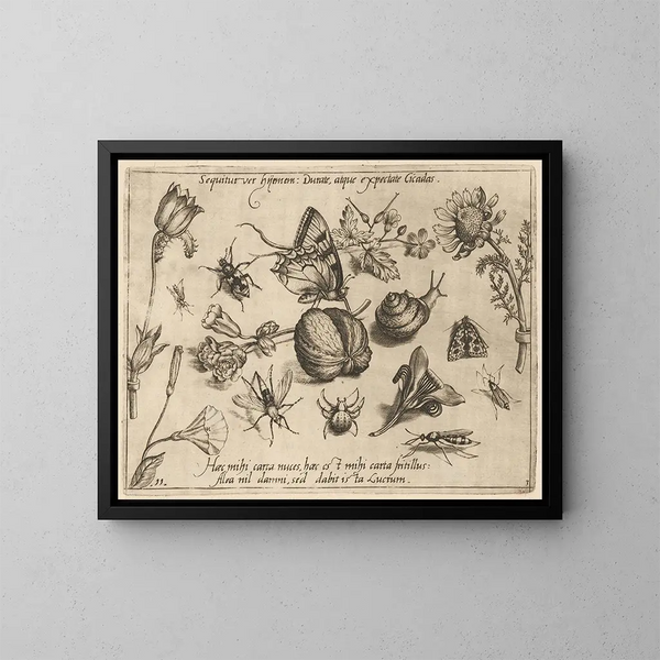 Archétypes et études du père Georgius Hoefnagel Pl28 - Joris Hoefnagel — framed artwork on a wall