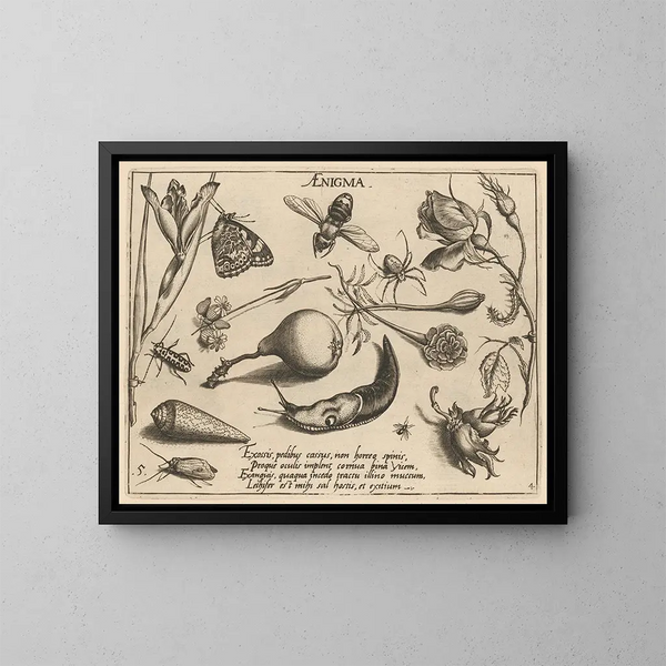 Archétypes et études du père Georgius Hoefnagel Pl46 - Joris Hoefnagel — framed artwork on a wall