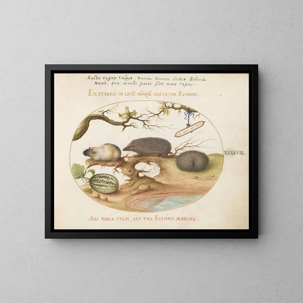 Guinea pig and hedgehogs with melon and hazelnuts - Joris Hoefnagel — framed artwork on a wall