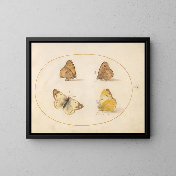 Placa 09 Mariposas Meadow Brown, Gatekeeper, Clouded Yellow y Bath White - Joris Hoefnagel — cuadro enmarcado en la pared