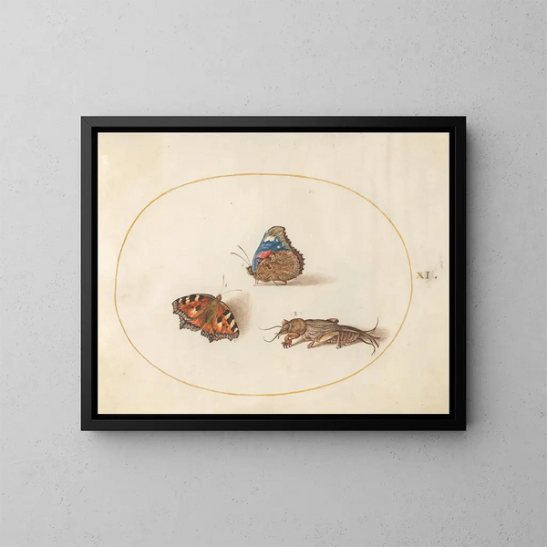 Planche 11 de mariposas pequeña tortuga y almirante rojo con un grillo topo - Joris Hoefnagel — cuadro enmarcado en la pared