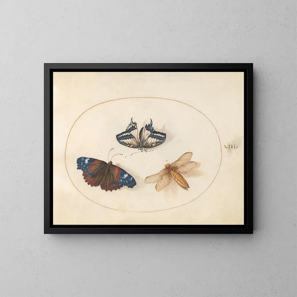 Placa 13: Mariposas con cola de golondrina amarilla y almirante rojo con una libélula cazadora de cuerpo ancho - Joris Hoefnagel — cuadro enmarcado en la pared