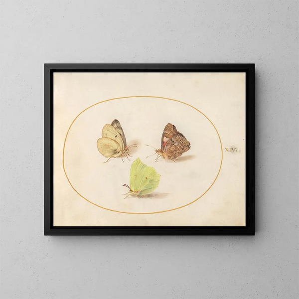 Planche 14: Mariposas Citron común, Dama pintada y Amarillo velado - Joris Hoefnagel — cuadro enmarcado en la pared