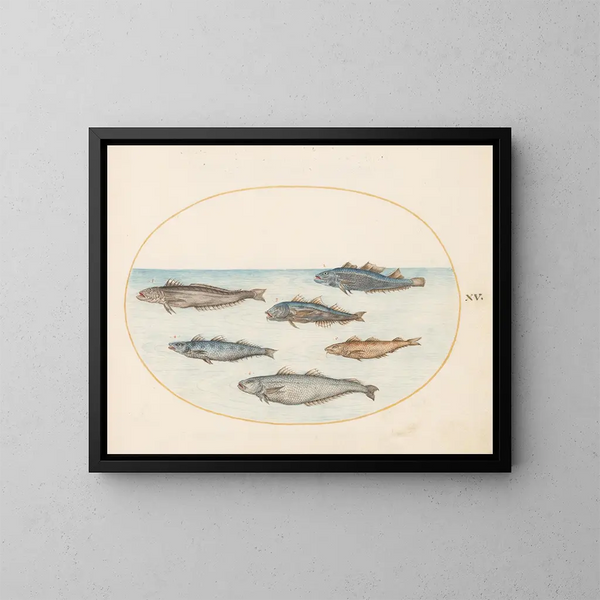 Planche 15 Seis peces asellorum cod - Joris Hoefnagel — cuadro enmarcado en la pared