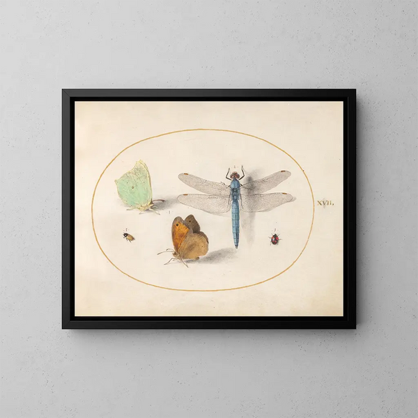 Planche 17: Mariposas de azufre y de pradera, un cazador azul y dos pequeños insectos - Joris Hoefnagel — cuadro enmarcado en la pared