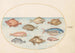 Planche 18 Fish-pig, razor fish, butter fish, a John Dory, and other fish - Joris Hoefnagel — artwork view