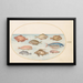 Planche 18 Fish-pig, razor fish, butter fish, a John Dory, and other fish - Joris Hoefnagel — framed artwork on a wall