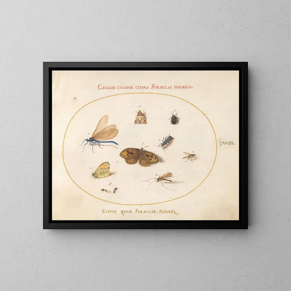 Planche 18: Dos mariposas y una polilla con una damisela, dos hormigas y otros cuatro insectos - Joris Hoefnagel — cuadro enmarcado en la pared