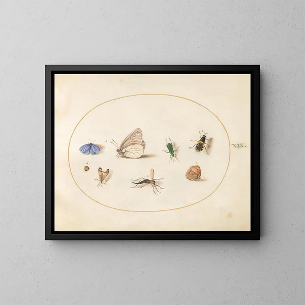 Platino 19 Dos mariposas con otros cinco insectos - Joris Hoefnagel — cuadro enmarcado en la pared