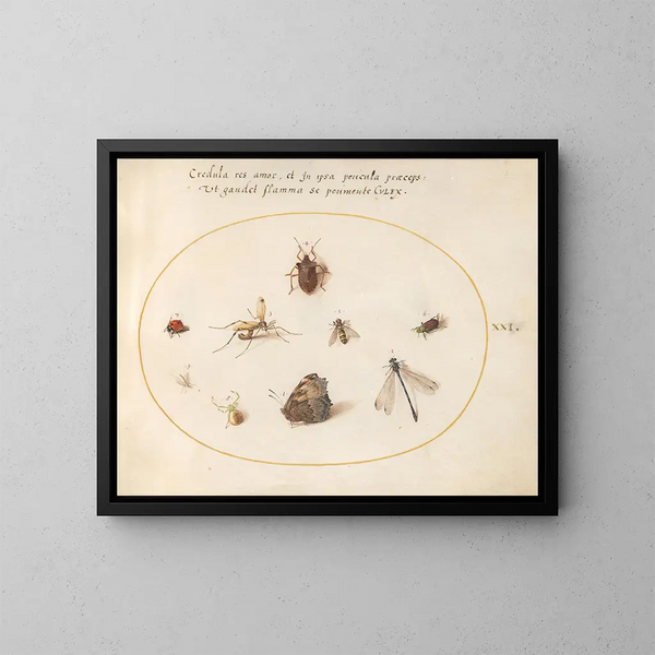 Platino 21 Un mariposa con una libélula, una mariquita y otros cinco insectos - Joris Hoefnagel — cuadro enmarcado en la pared