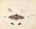 Platino 27 Un Esfinge con ojos, dos crisálidas y otros insectos - Joris Hoefnagel — vista de la obra