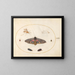 Platino 27 Un Esfinge con ojos, dos crisálidas y otros insectos - Joris Hoefnagel — cuadro enmarcado en la pared