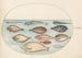 Planche 33 Sole and other flatfish with ribbon fish - Joris Hoefnagel — artwork view