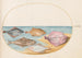 Planche 35 Les dessous du turbot et d'autres poissons plats - Joris Hoefnagel — artwork view