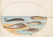 Planche 36 Cinq poissons dont une carpe - Joris Hoefnagel — artwork view