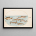 Planche 38 Lotte, Motelle et autres poissons - Joris Hoefnagel — framed artwork on a wall