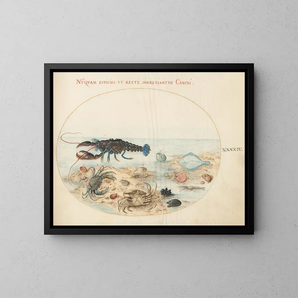 Platino 44 Langosta, dos cangrejos, conchas de vieira y otras formas de vida marina - Joris Hoefnagel — cuadro enmarcado en la pared