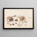 Planche 46 Two crabs with shells - Joris Hoefnagel — framed artwork on a wall